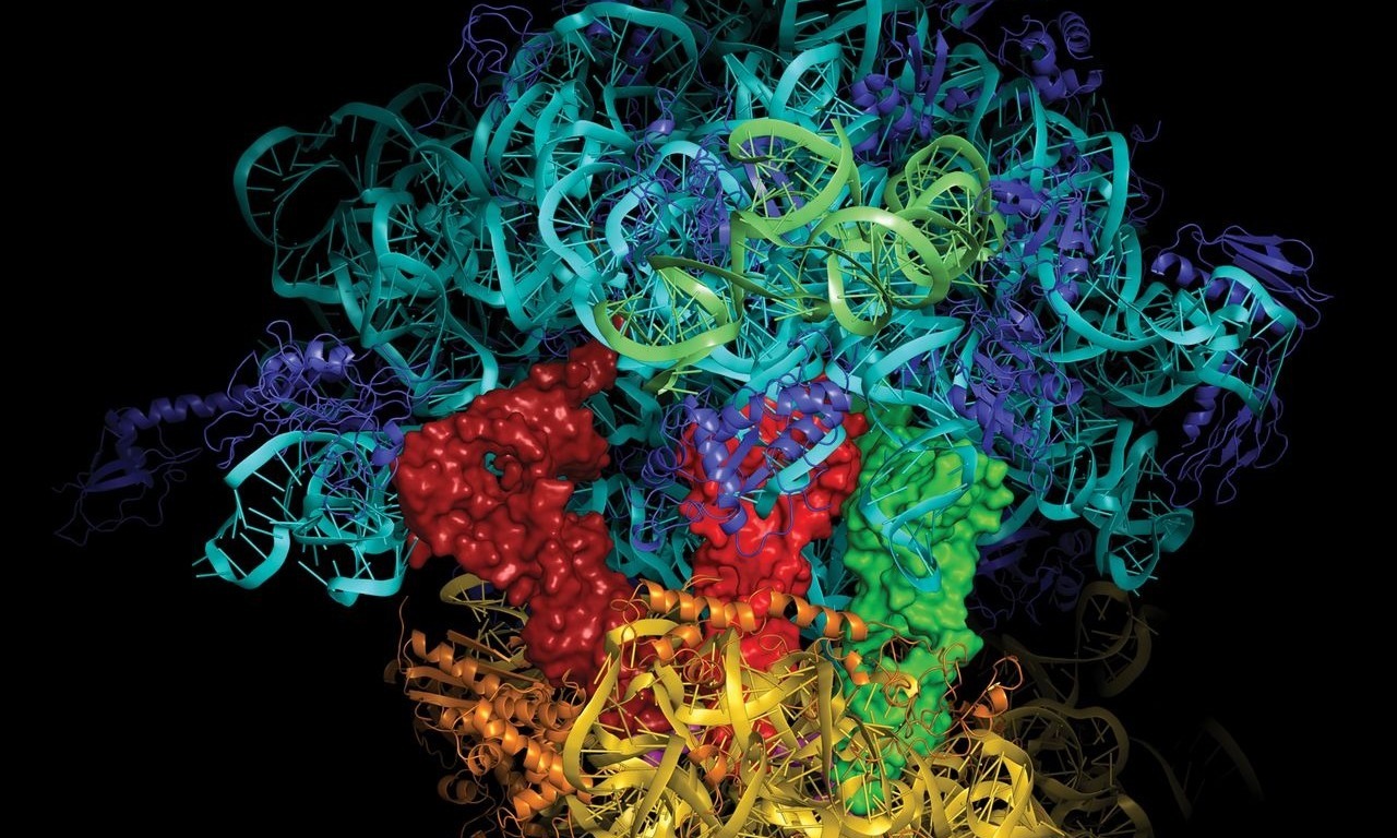 La svolta del DNA