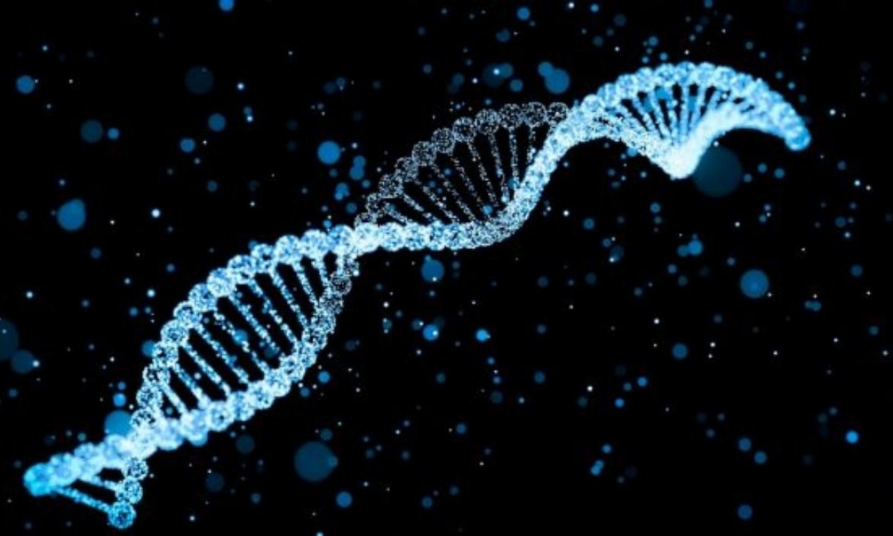 Il libro del DNA