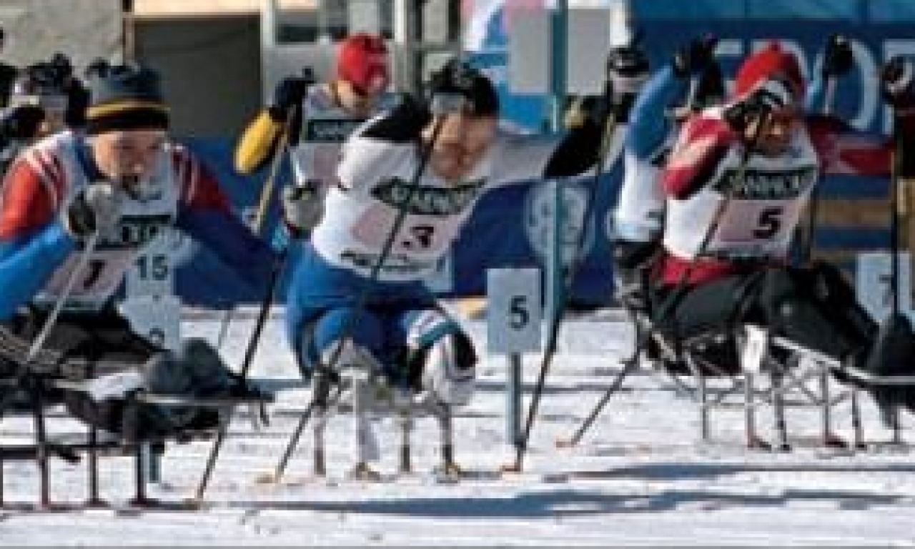 SPECIALE SCUOLE - Le olimpiadi della vita