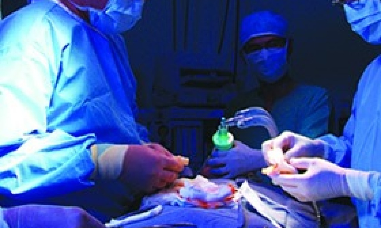 Quanta vita in più dai trapianti di fegato