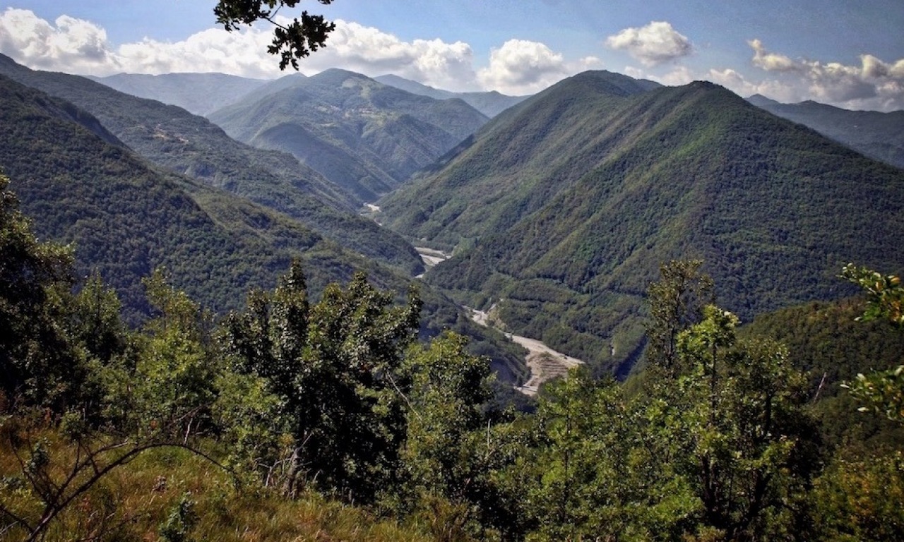 La valle dei geni