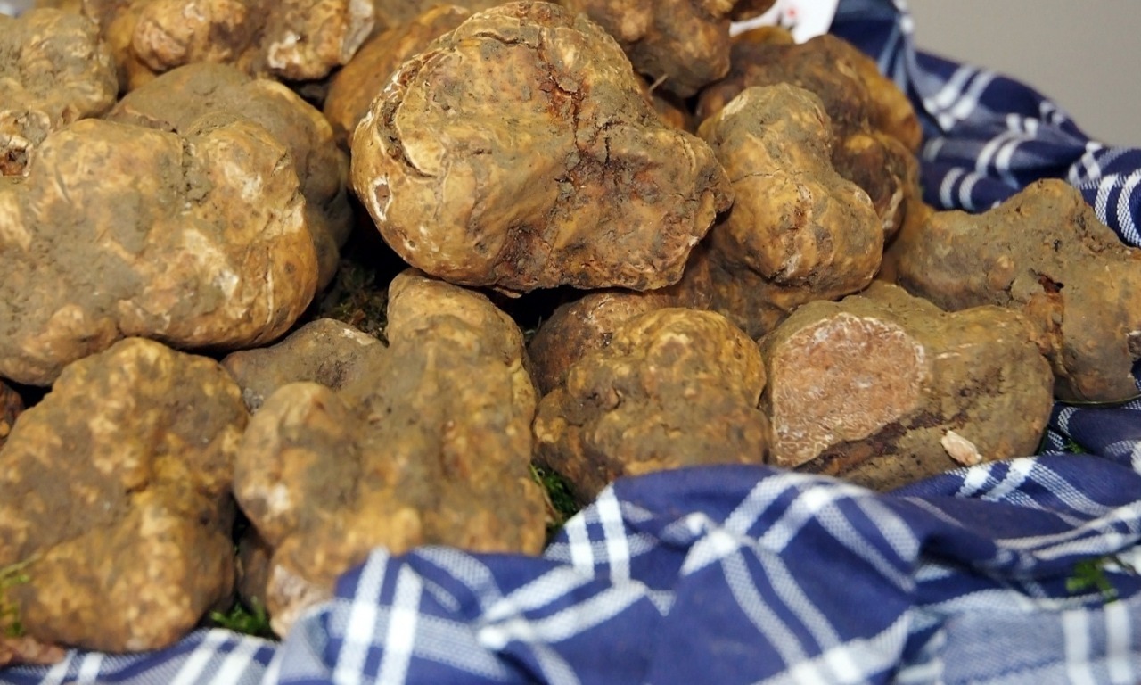 Il tartufo delle meraviglie