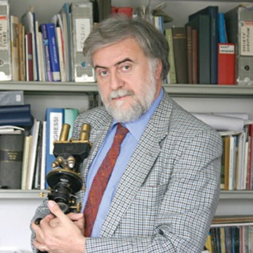 Marco Galloni