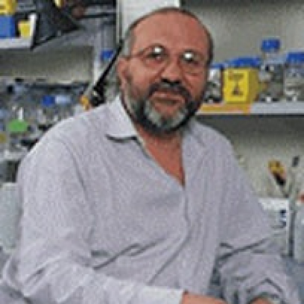 Pier Giuseppe Pelicci